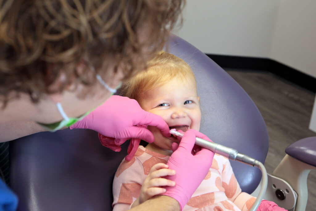 pediatric dentist cleaning toddler's teeth. Dentist is making the patient feel comfortable. 
